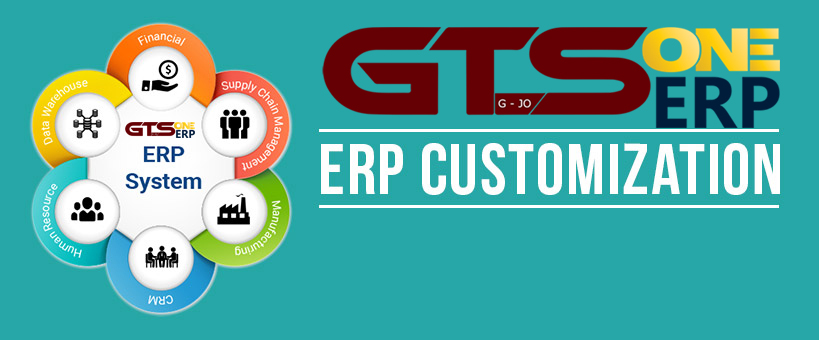 erp customization in Amman